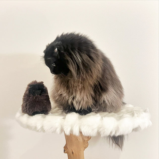 ねこさん ぬいぐるみキーホルダー - YUKI FUJISAWA online store